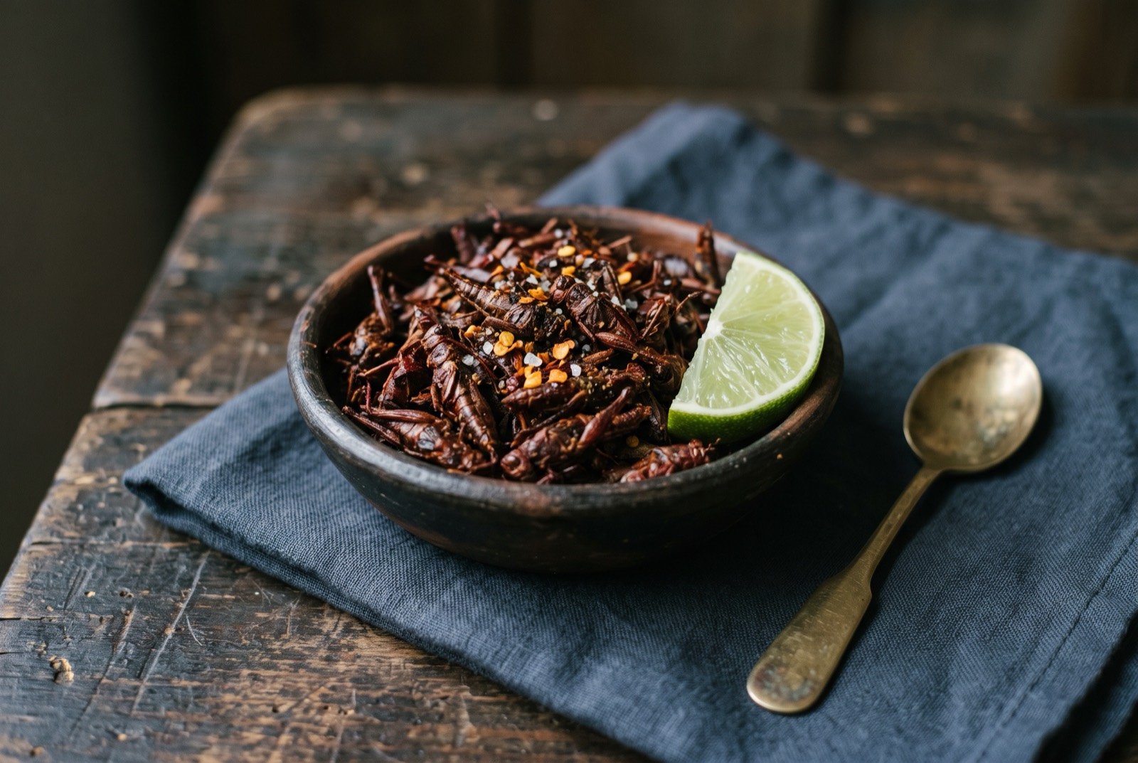 Chapulines, chile and lime toasted grasshoppers: a small rustic bowl heaped with reddish brown toasted grasshoppers, a few flecks of dried chile and coarse salt visible among them.